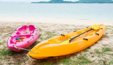 Auckland police rescue hypothermic kayaker after Waitematā Harbour fall