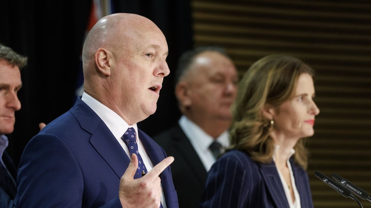 Christopher Luxon to reshuffle Cabinet – can he turn it around? – Thomas Coughlan