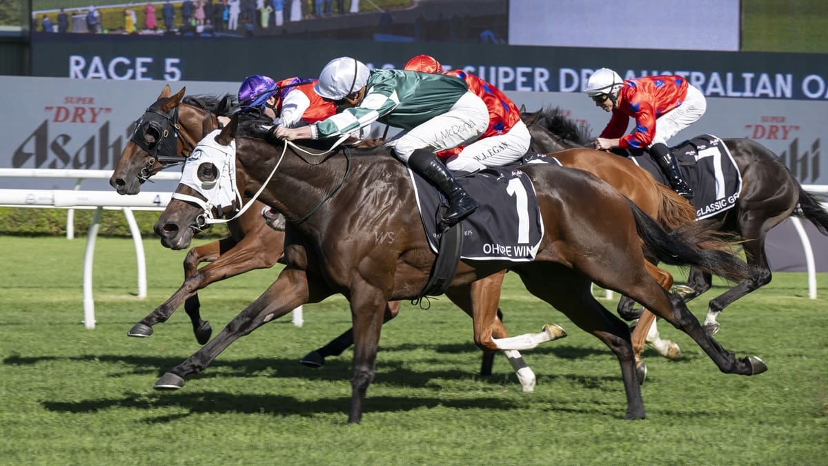 Horse racing: Ohope Wins a dual Oaks winner after victory at Randwick