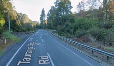 Rotorua roading: Construction of new SH36 Hauraki Stream Bridge to begin this month