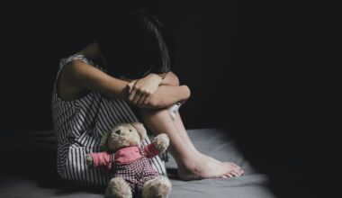 Judge rejects sex abuser’s claim of own abuse in Wellington sentencing