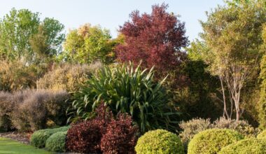 Kem Ormond: Why New Zealand natives deserve more space in our gardens