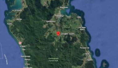 Armed police operation closes highway near Coroglen Tavern in Coromandel