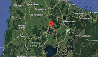 SH1 closed near Kinleith after serious car and truck crash