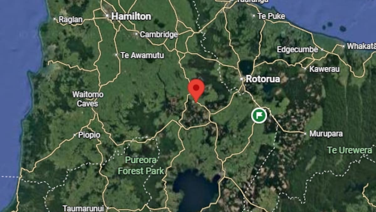 SH1 closed near Kinleith after serious car and truck crash
