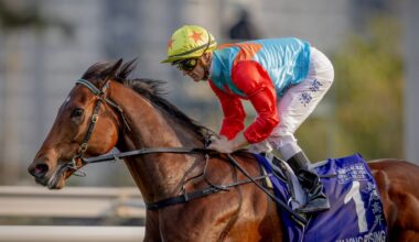 Horse racing: Ka Ying Rising’s NZ breeder Fraser Auret on selling world’s fastest horse early