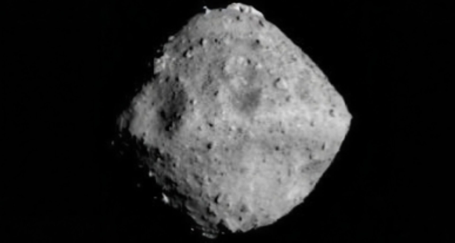 Asteroid Ryugu contains the key building blocks of life