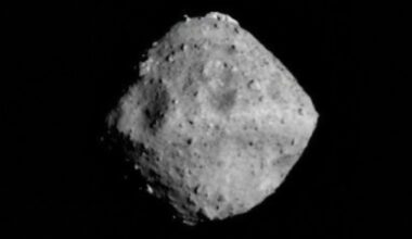 Asteroid Ryugu contains the key building blocks of life