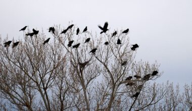 Herald morning quiz: April 17 - New Zealand News