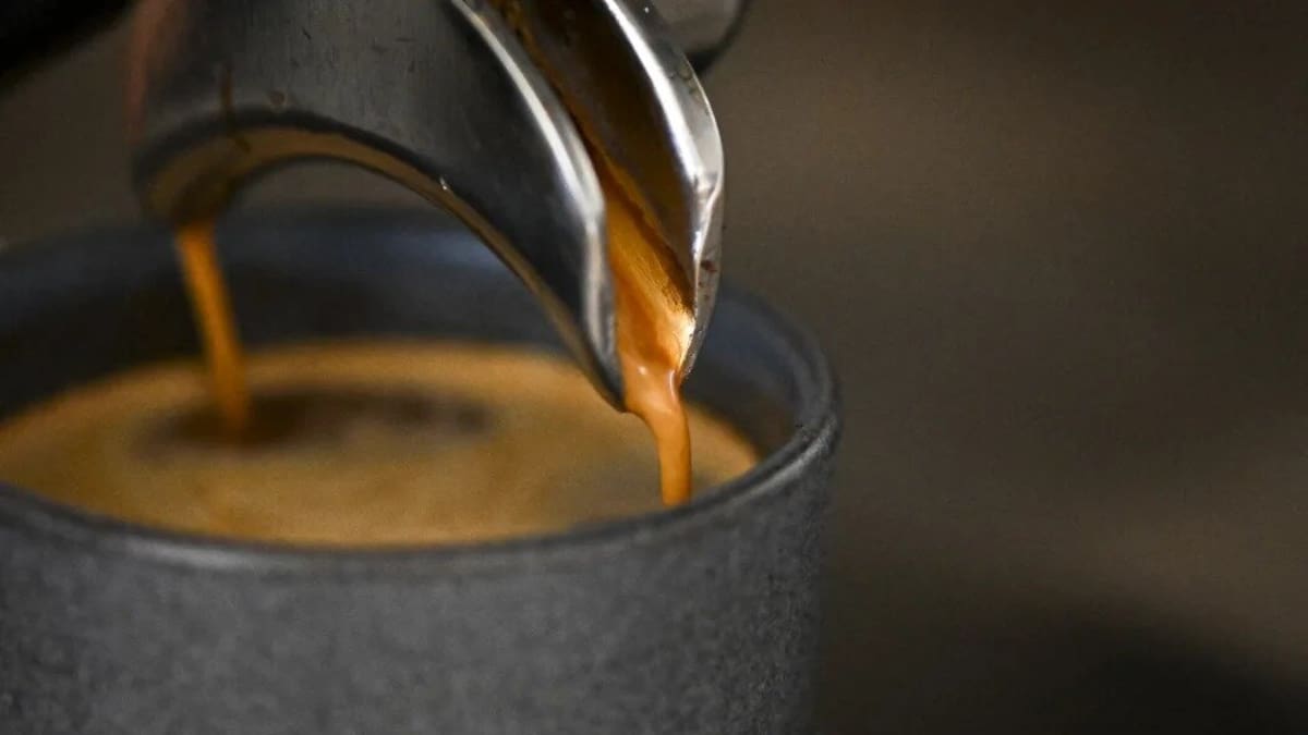 E coli discovery causes well-known Auckland cafe to take the day off