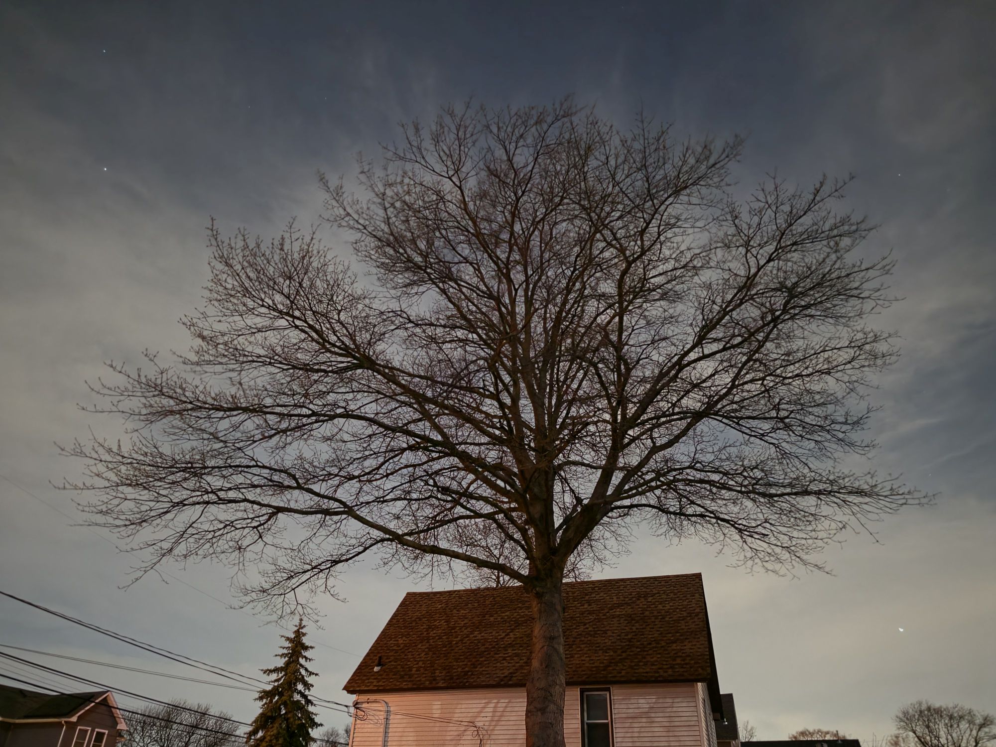 Samsung Galaxy S26 Ultra Standard Mode low light sample.