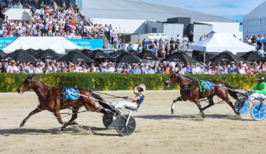 Horse racing: Swayzee the huge surprise in fallout from Night of Champions