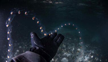 Salps