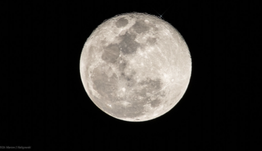 The Moon occults Regulus on February 2nd, 2026. Credit: Marion Haligowski.