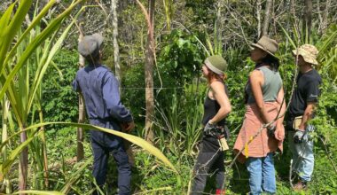 Northland community climate resilience fund faces massive demand