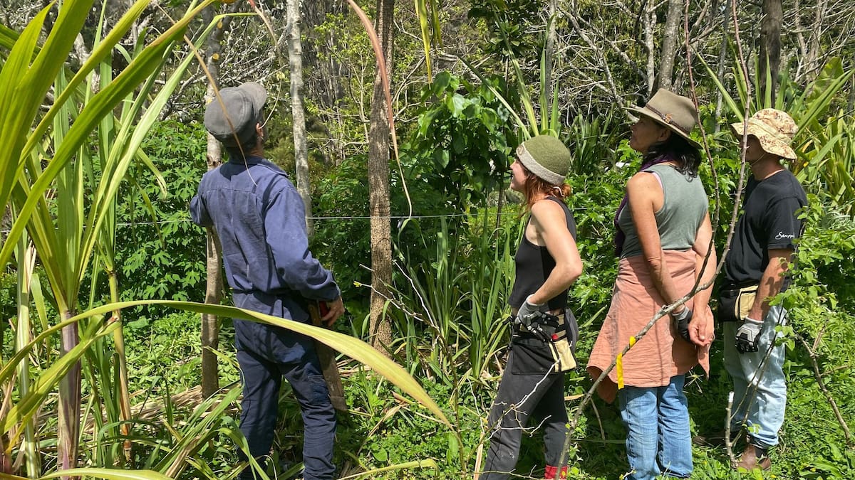 Northland community climate resilience fund faces massive demand