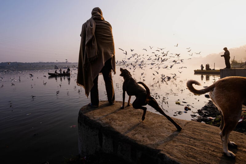 A person wrapped in a shawl stands by a river at sunrise, accompanied by a dog. Birds fly overhead, and people are seen on a boat and along the riverbank in the background.