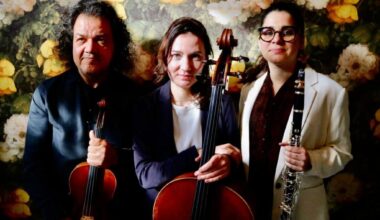 Lendvay Ensemble Cancels Concerts After Being Denied Airplane Boarding