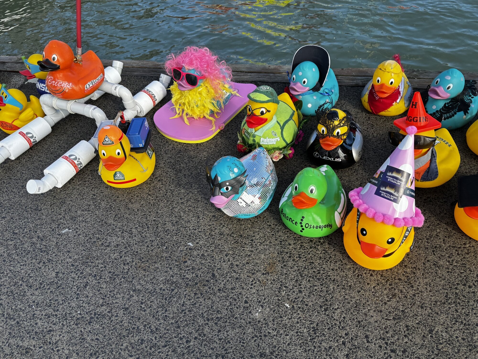  Corporate ducks waiting to race at the Tauranga waterfront.  Photo / Supplied