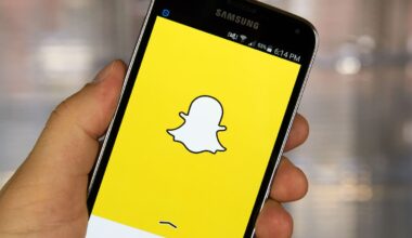 Auckland man Kuljinder Singh caught in Hamilton Snapchat sexual hook-up with teen girl