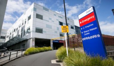 Mum Brooke Knight left newborn in Waikato Hospital to help her partner with a robbery