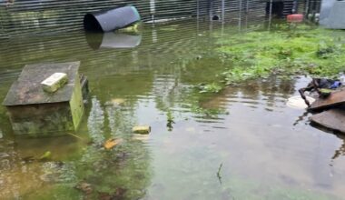 Mamaku resident blames flooding for elevated E. coli levels at property, asks for council help