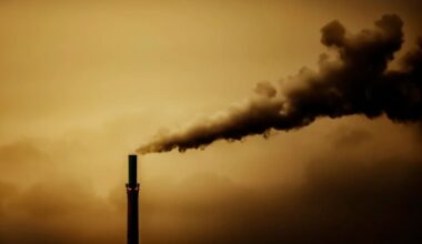 New Zealand records slight emissions decline in 2024