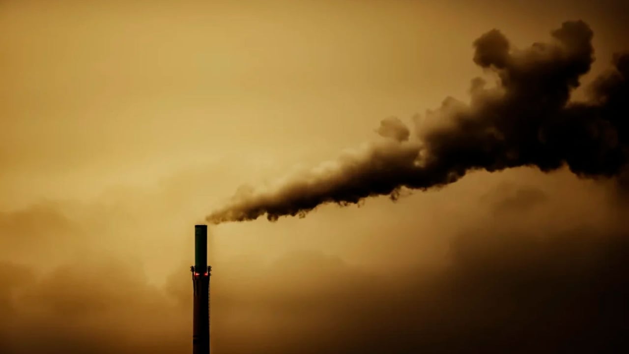 New Zealand records slight emissions decline in 2024