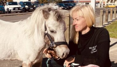 On The Up: Moxy the wellbeing pony brings joy to children at Hawke’s Bay Hospital