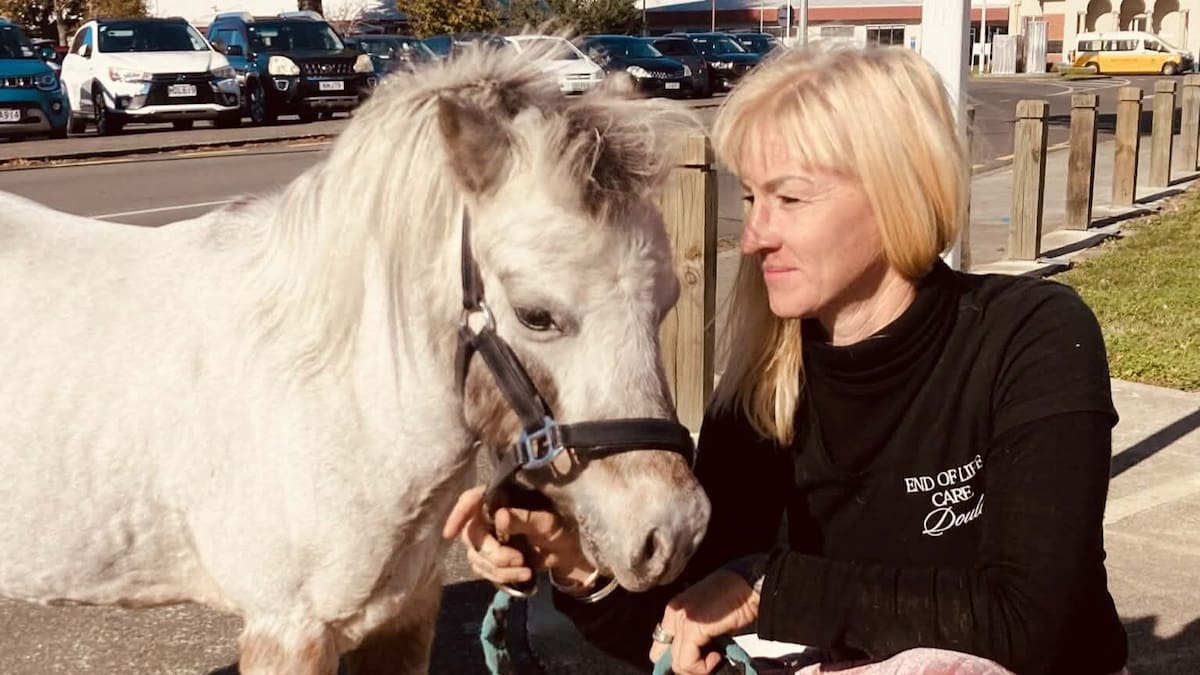 On The Up: Moxy the wellbeing pony brings joy to children at Hawke’s Bay Hospital