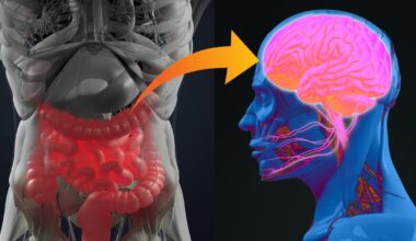 ADM research highlights microbial benefits for psychological symptoms