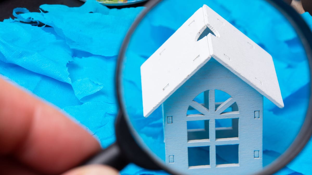 ‘Mum and dad investors’ are pulling back. What will that mean for NZ’s housing market?