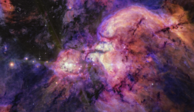 A mid-infrared view of M51 provided by the James Webb Space Telescope's MIRI instrument. Swirls of interstellar gas are being illuminated by massive young newborn stars.Credit: NASA, ESA, CSA, Yoo &amp; Ginsburg (UF). Image processing: A Pagan (STScI)