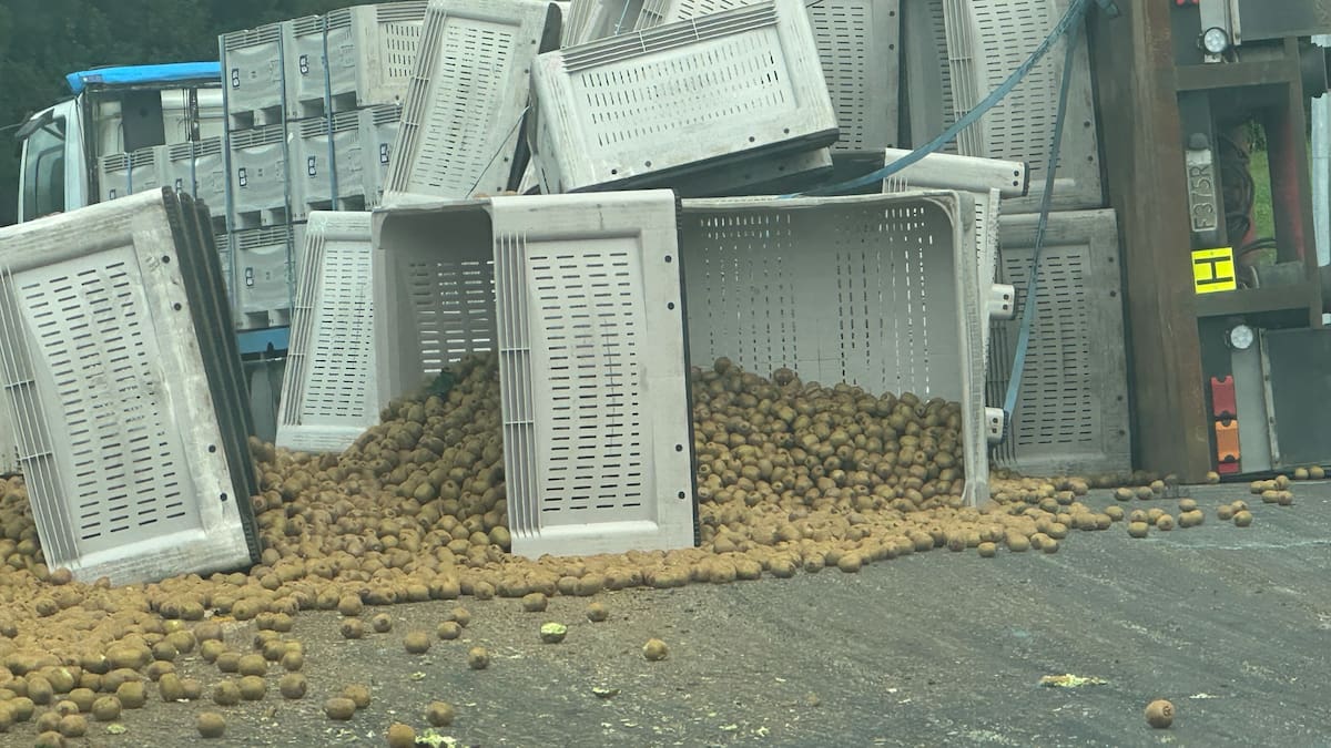 Kiwifruit truck trailer tips on SH2, causing delays in Bay of Plenty