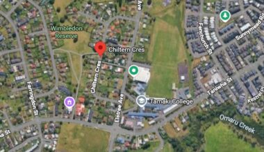 Items of interest found in Glen Innes, Auckland, theft case as search for man continues