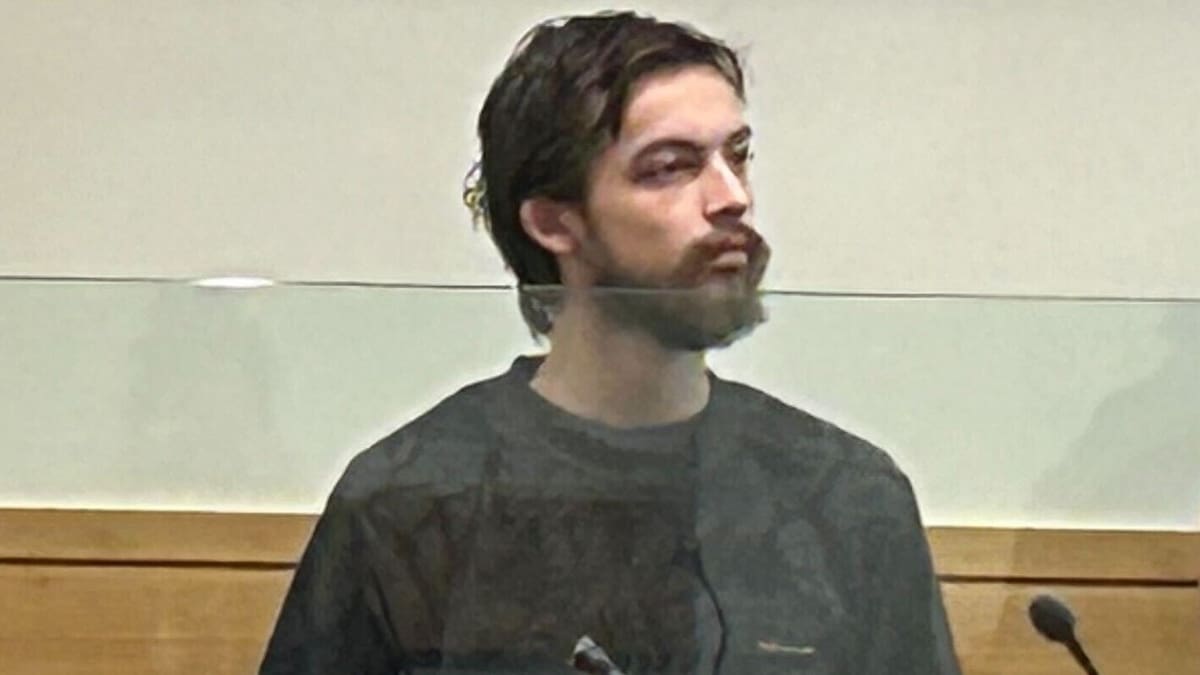 Brooklyn Jenkins pleads guilty to murdering brother Kyle on Northland road