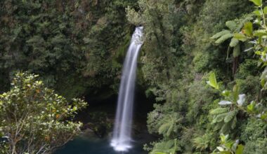 Tauranga council considers restoring te reo name for Ōmanawa Falls Reserve