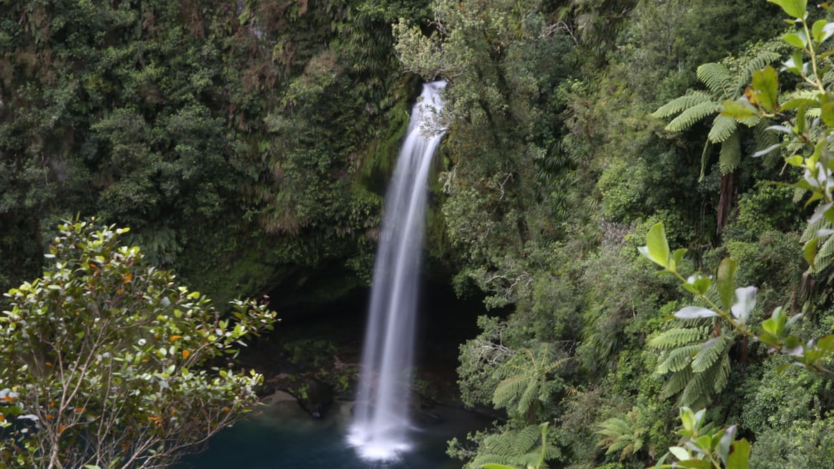 Tauranga council considers restoring te reo name for Ōmanawa Falls Reserve