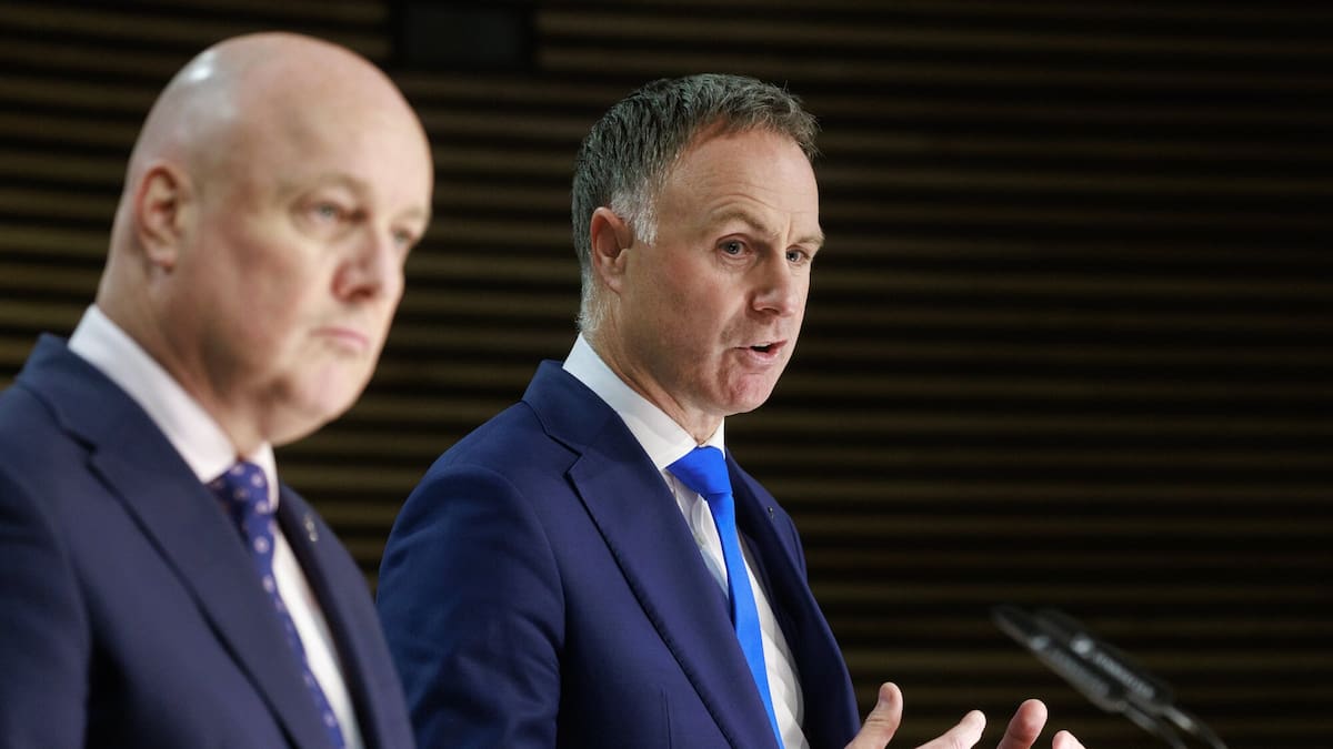 S&P warns rates cap likely to hit core council services, reducing library and pool hours