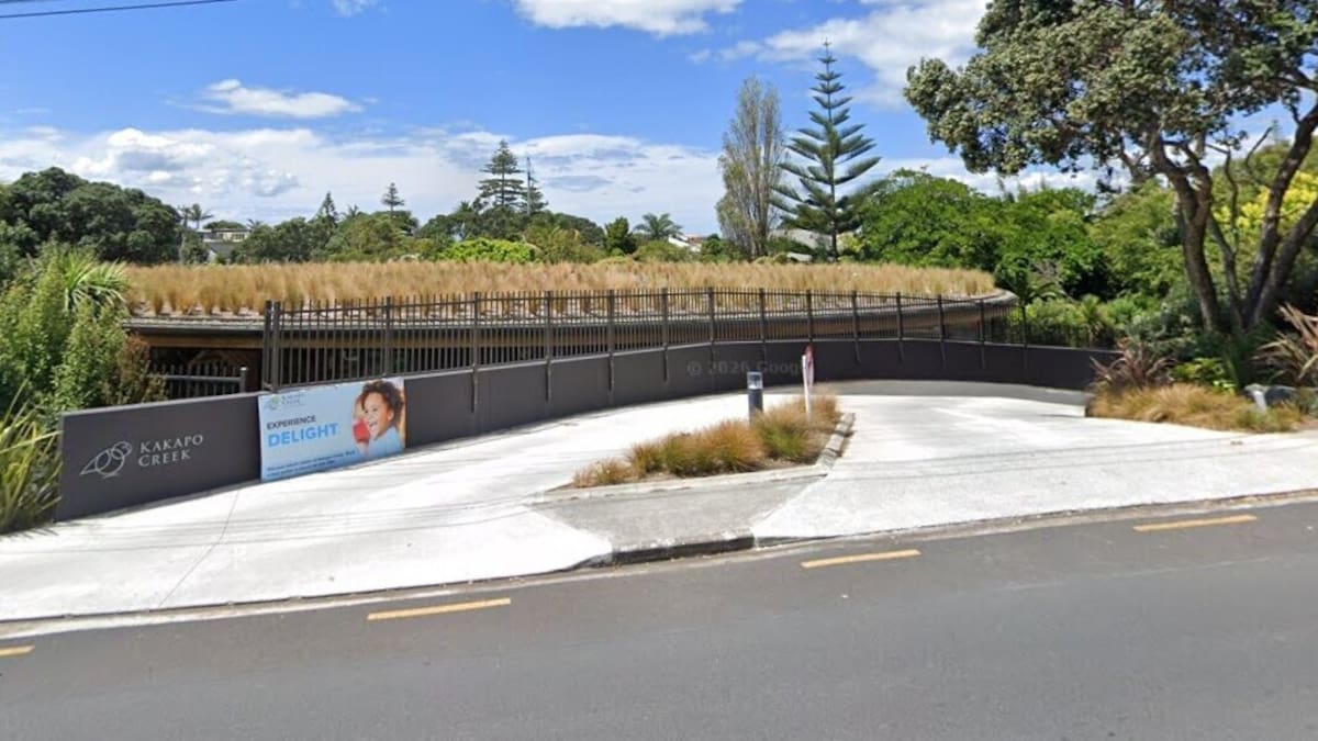 Auckland preschool teachers Michelle Choi and Rochelle Gray censured after child left in locked van