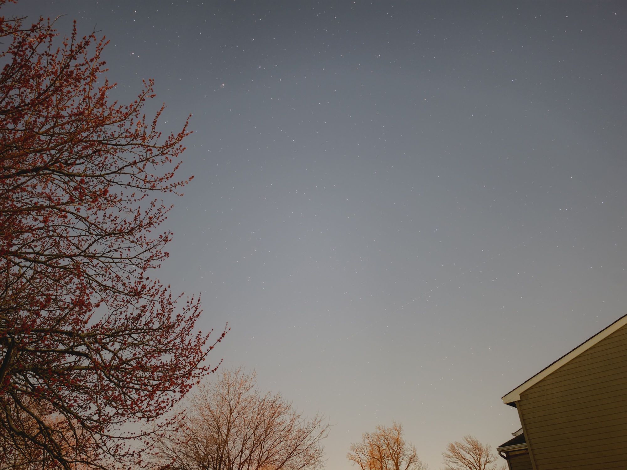 Samsung Galaxy S26 Ultra Expert RAW sample.