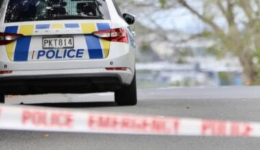 Wellington woman Irene Katsougiannis died from blow with heavy ornament - coroner