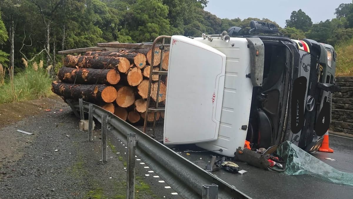 Mangamuka Gorge SH1 closed in both directions after logging truck roll