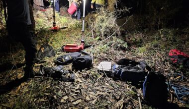 Whanganui firefighters perform line rescue for two dogs trapped after 30m cliff fall