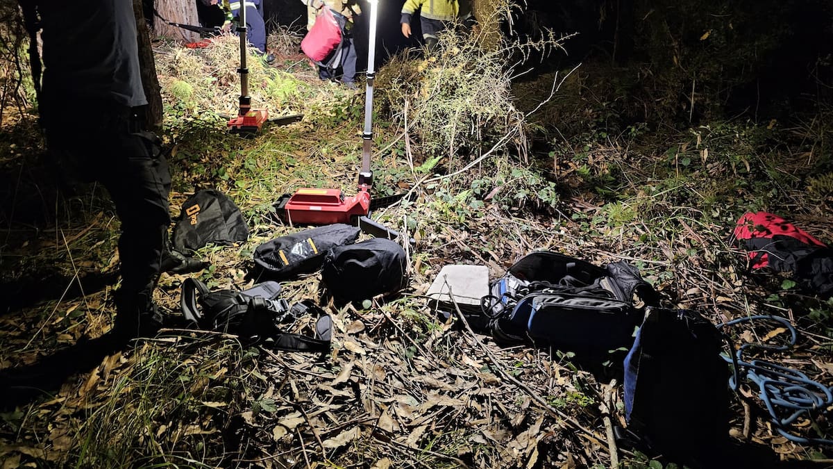 Whanganui firefighters perform line rescue for two dogs trapped after 30m cliff fall