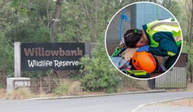 Willowbank wildlife park visitors upset by graphic St John youth event