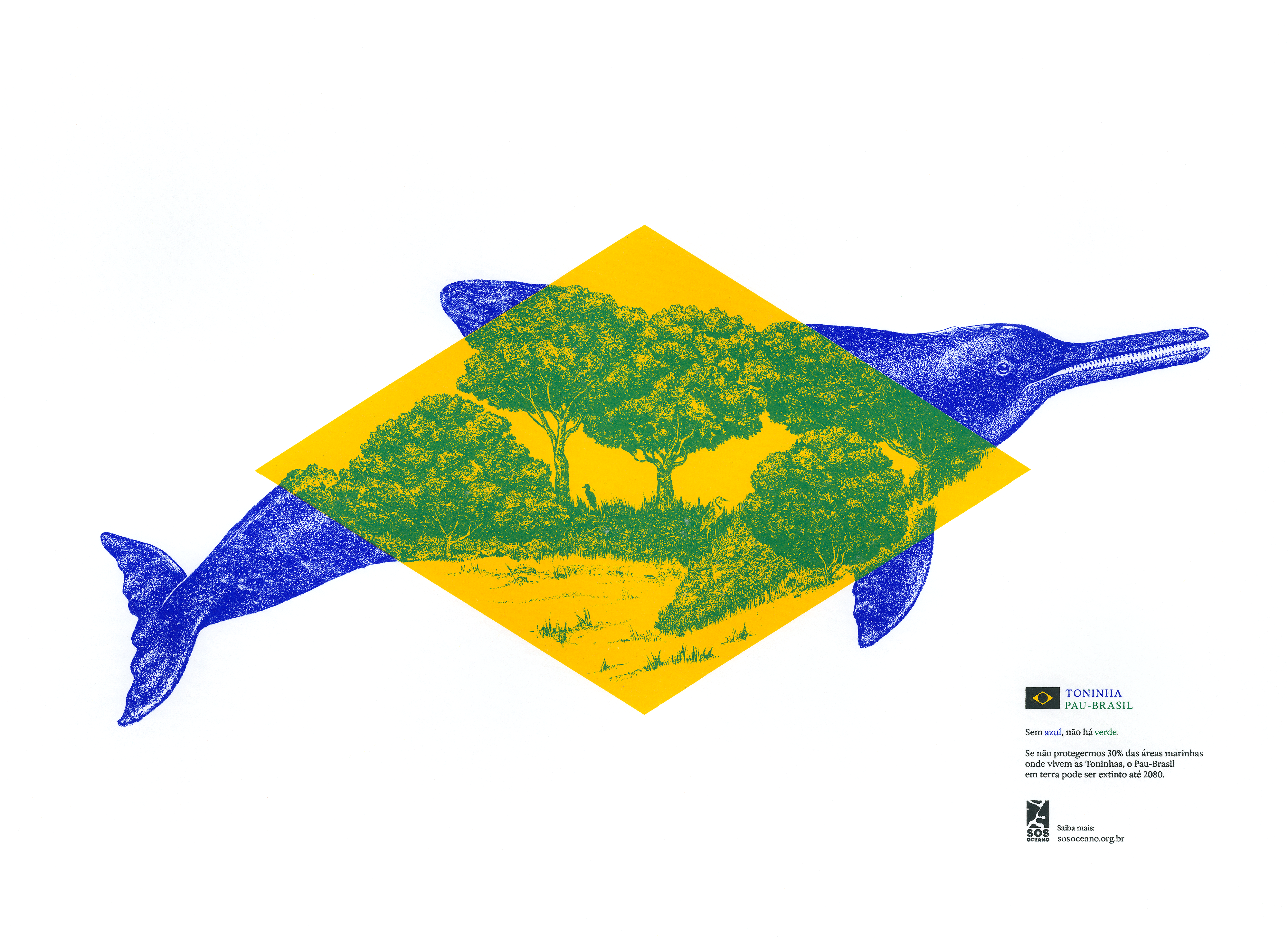 Brazilian flag reimagined for a campaign to raise awareness of ocean conservation