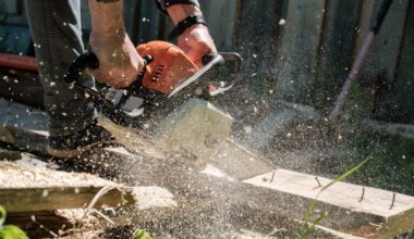 Tākaka chainsaw incident: Ethan Phillips sent to prison for threatening ex with power tool