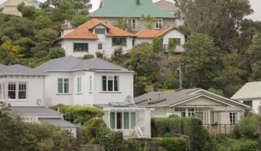 Wellington house sales delayed by backlog of council-issued Lim property reports