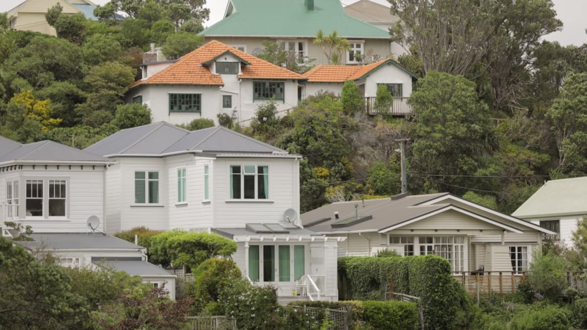 Wellington house sales delayed by backlog of council-issued Lim property reports